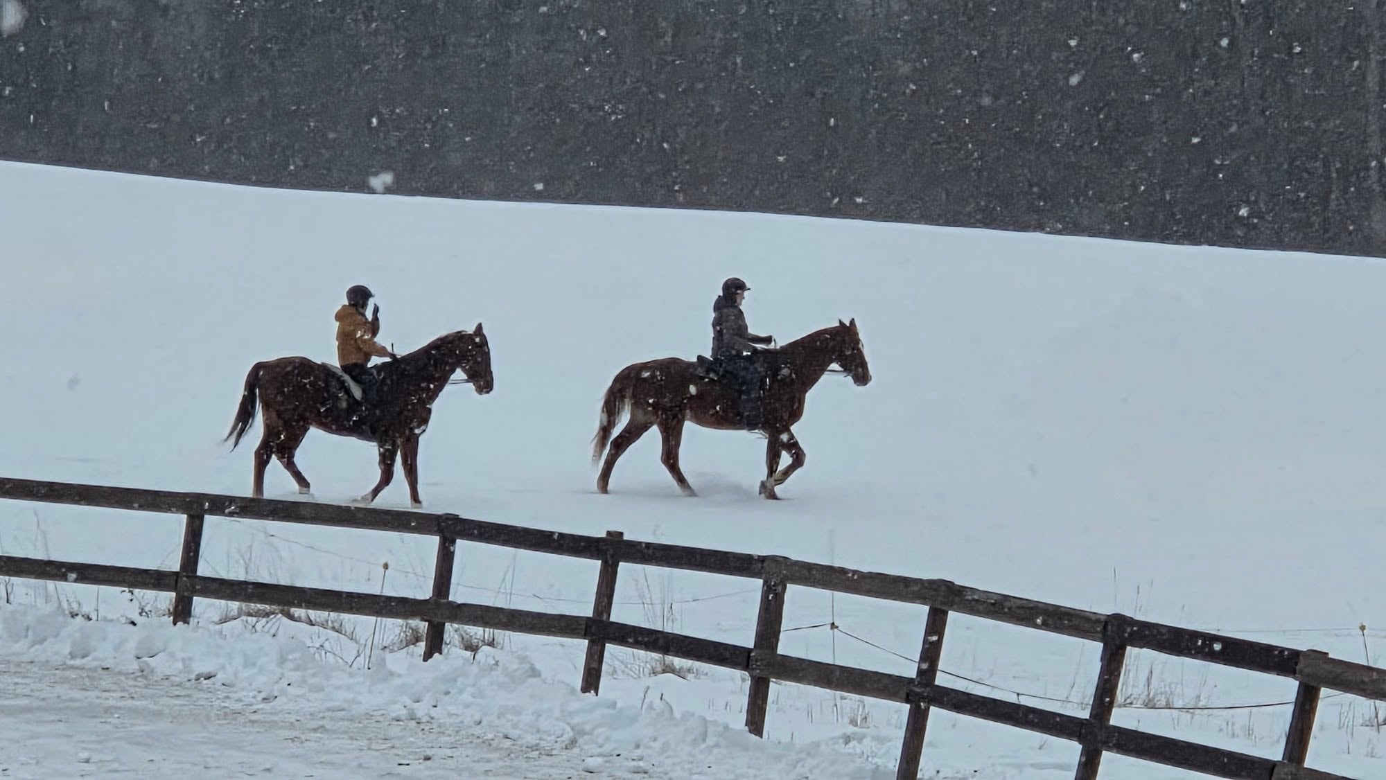 Two riders on horses in a snowy field