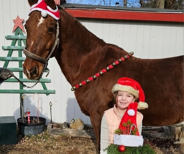 Girl posing with decorated horse at Christmas