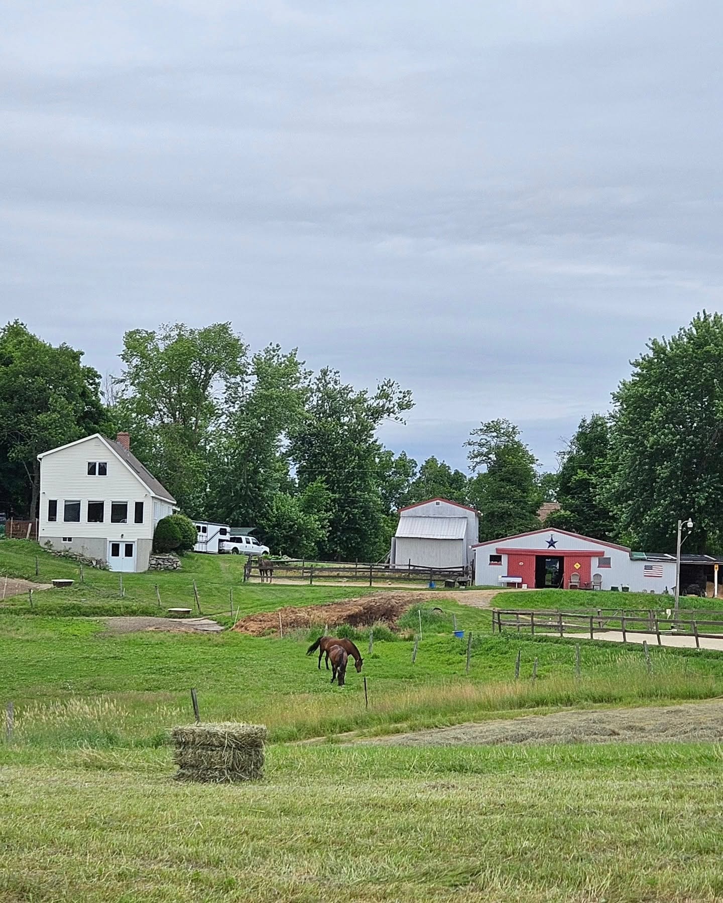 Premium horse boarding facilities at Sunswept Stables